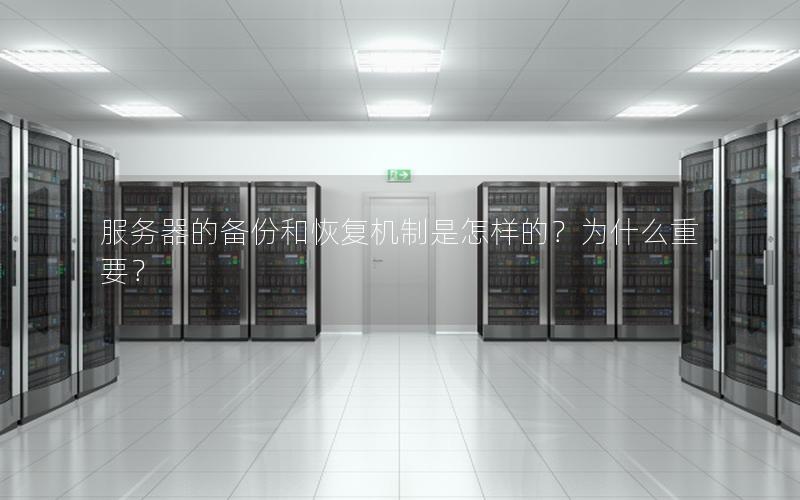 服务器的备份和恢复机制是怎样的？为什么重要？