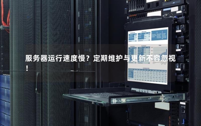 服务器运行速度慢？定期维护与更新不容忽视！