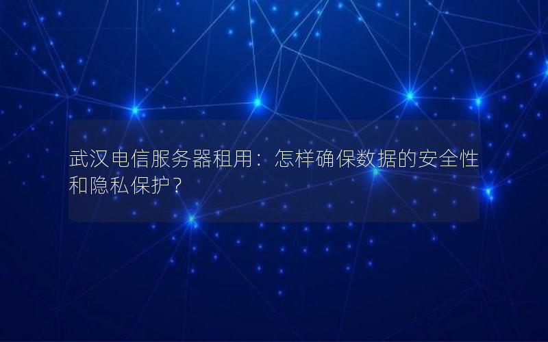 武汉电信服务器租用：怎样确保数据的安全性和隐私保护？