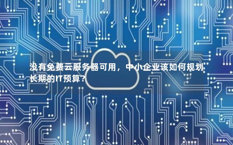 没有免费云服务器可用，中小企业该如何规划长期的IT预算？