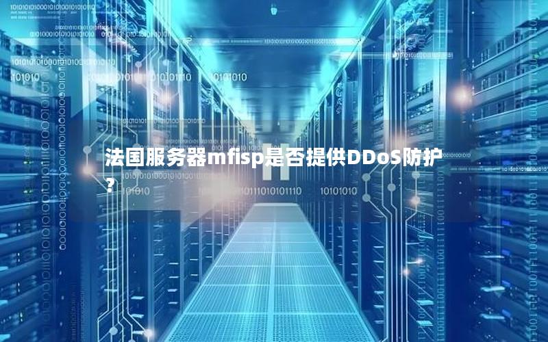 法国服务器mfisp是否提供DDoS防护？