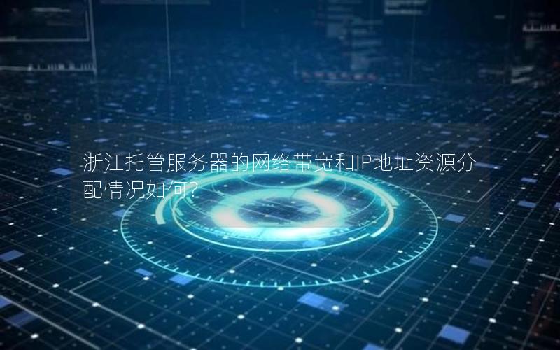 浙江托管服务器的网络带宽和IP地址资源分配情况如何？