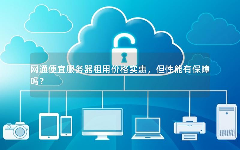 网通便宜服务器租用价格实惠，但性能有保障吗？