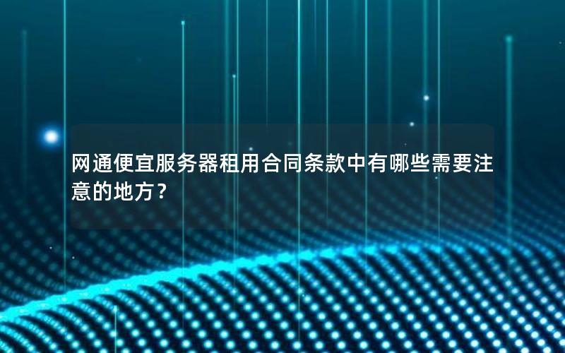 网通便宜服务器租用合同条款中有哪些需要注意的地方？