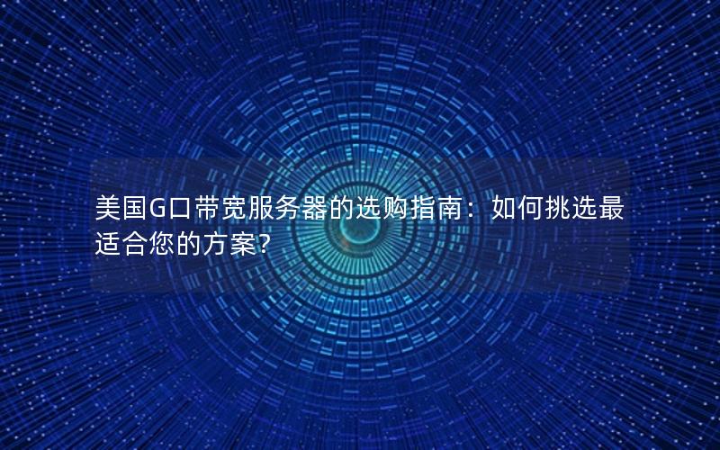 美国G口带宽服务器的选购指南：如何挑选最适合您的方案？