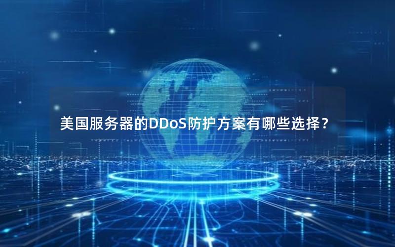 美国服务器的DDoS防护方案有哪些选择？