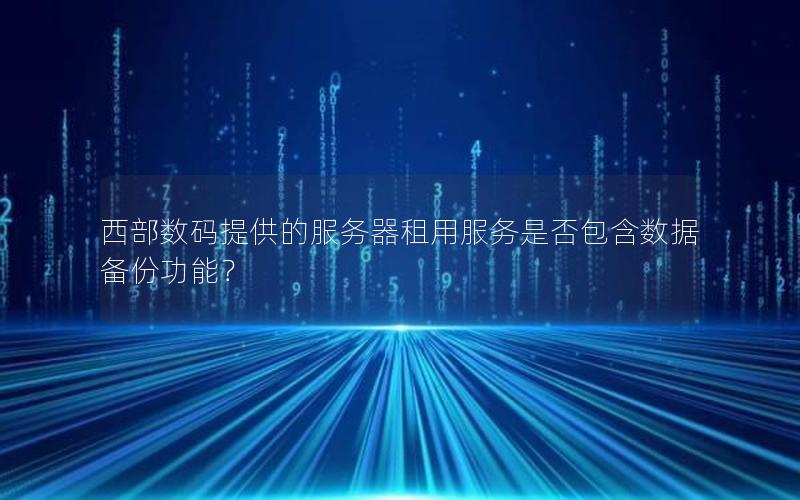 西部数码提供的服务器租用服务是否包含数据备份功能？