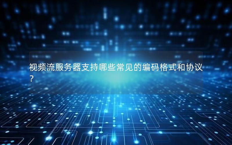 视频流服务器支持哪些常见的编码格式和协议？