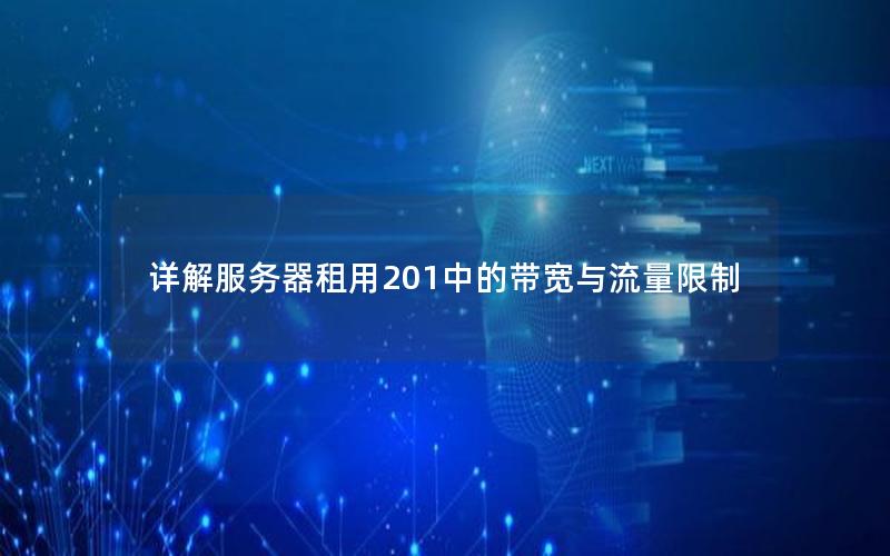 详解服务器租用201中的带宽与流量限制