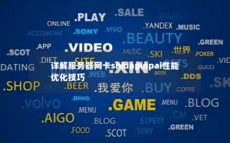 详解服务器网卡shidapinpai性能优化技巧