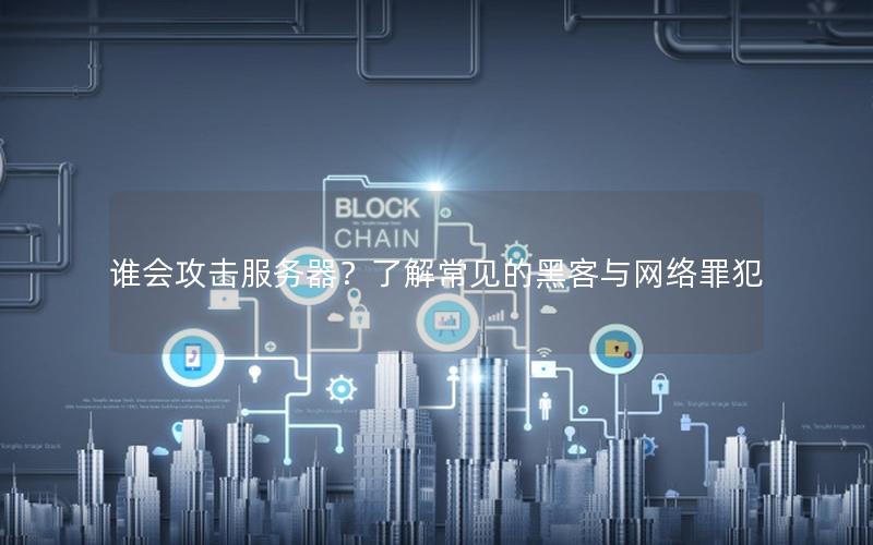谁会攻击服务器？了解常见的黑客与网络罪犯