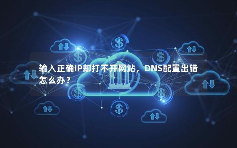 输入正确IP却打不开网站，DNS配置出错怎么办？