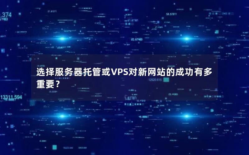 选择服务器托管或VPS对新网站的成功有多重要？