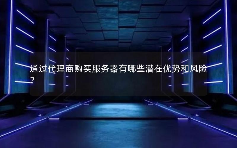 通过代理商购买服务器有哪些潜在优势和风险？