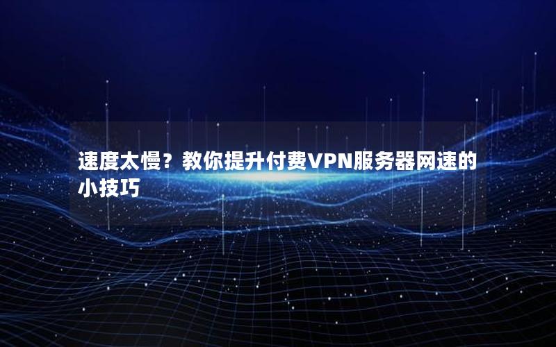 速度太慢？教你提升付费VPN服务器网速的小技巧
