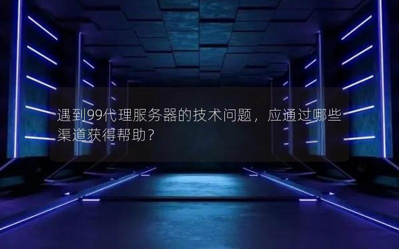 遇到99代理服务器的技术问题，应通过哪些渠道获得帮助？