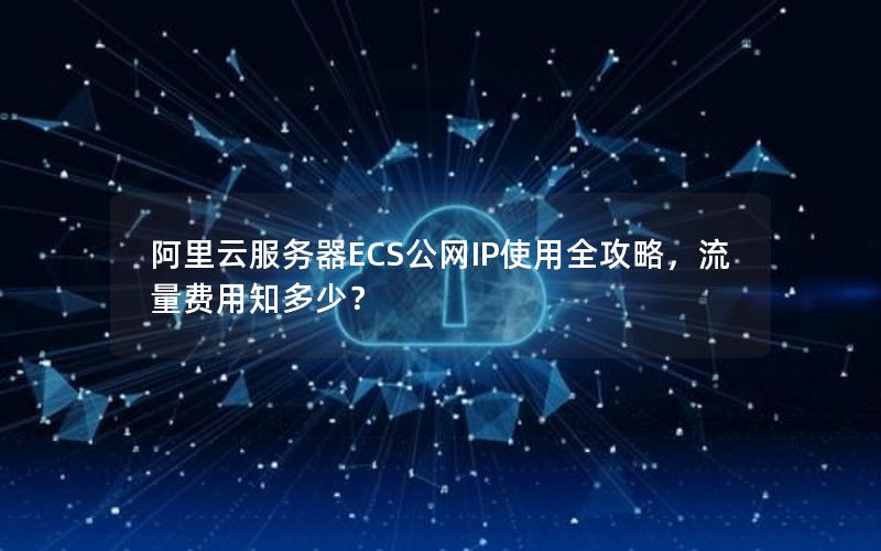 阿里云服务器ECS公网IP使用全攻略，流量费用知多少？