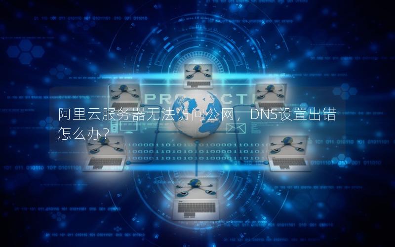 阿里云服务器无法访问公网，DNS设置出错怎么办？