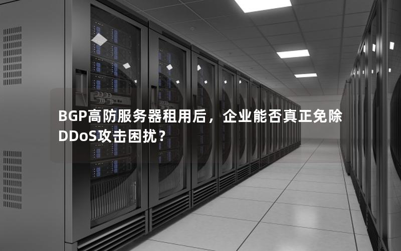 BGP高防服务器租用后，企业能否真正免除DDoS攻击困扰？