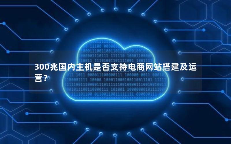 300兆国内主机是否支持电商网站搭建及运营？