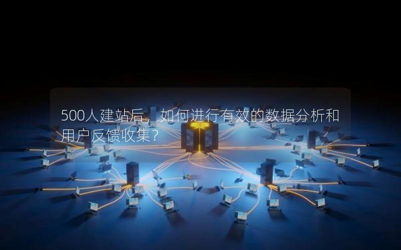 500人建站后，如何进行有效的数据分析和用户反馈收集？