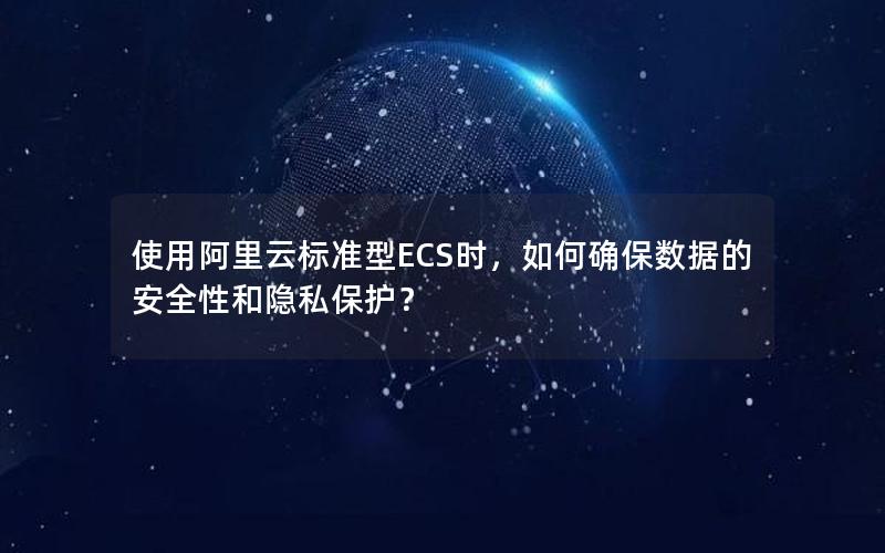 使用阿里云标准型ECS时，如何确保数据的安全性和隐私保护？