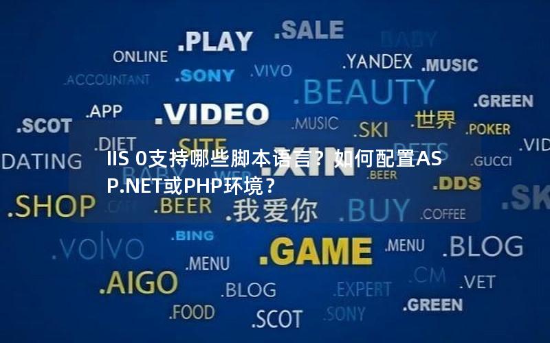 IIS 0支持哪些脚本语言？如何配置ASP.NET或PHP环境？