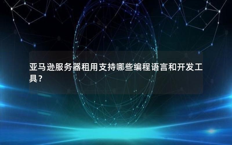 亚马逊服务器租用支持哪些编程语言和开发工具？