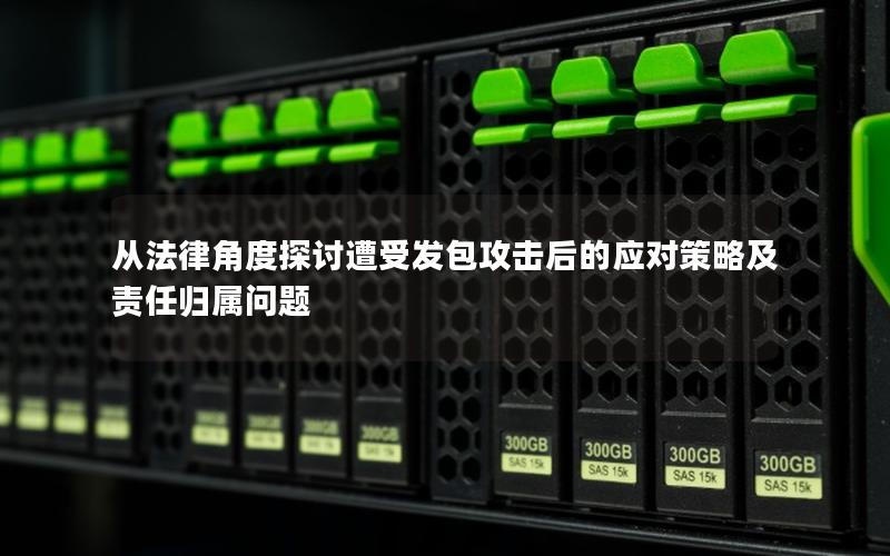 从法律角度探讨遭受发包攻击后的应对策略及责任归属问题