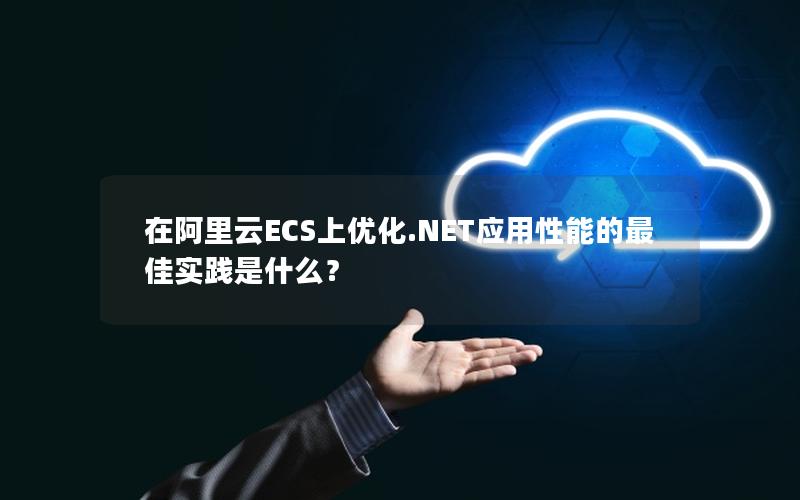 在阿里云ECS上优化.NET应用性能的最佳实践是什么？