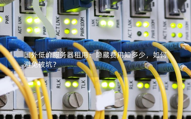 国外低价服务器租用：隐藏费用知多少，如何避免被坑？