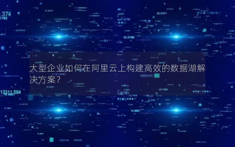 大型企业如何在阿里云上构建高效的数据湖解决方案？