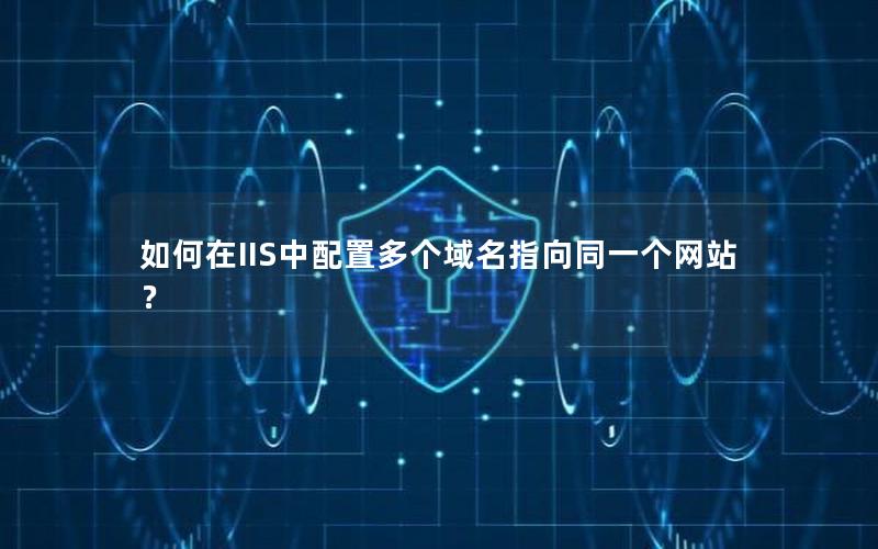 如何在IIS中配置多个域名指向同一个网站？