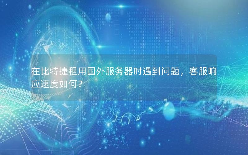 在比特捷租用国外服务器时遇到问题，客服响应速度如何？