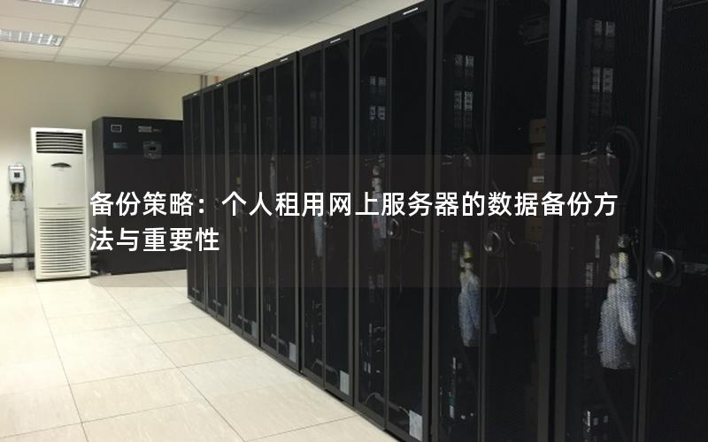 备份策略：个人租用网上服务器的数据备份方法与重要性