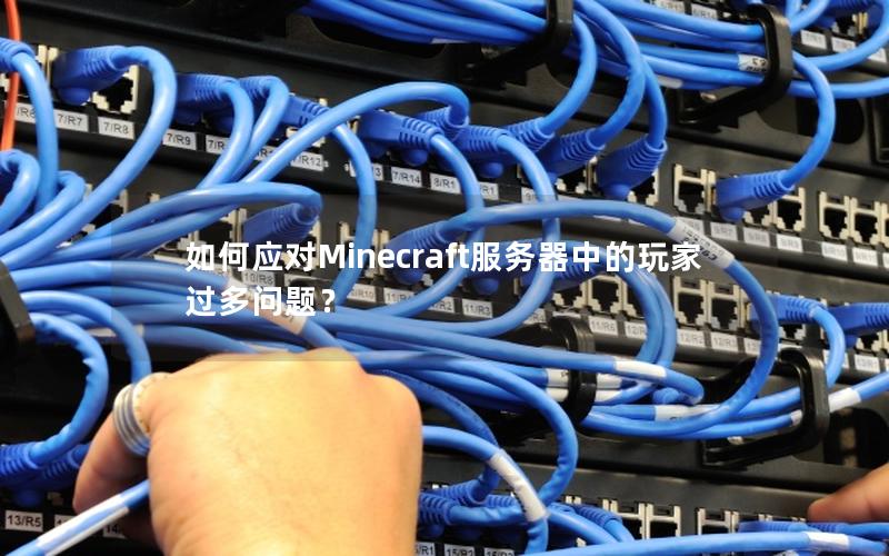 如何应对Minecraft服务器中的玩家过多问题？