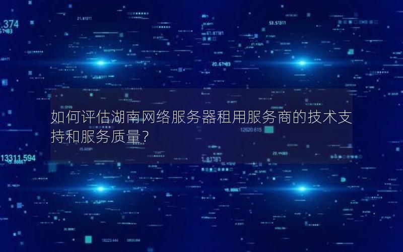 如何评估湖南网络服务器租用服务商的技术支持和服务质量？