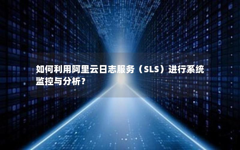 如何利用阿里云日志服务（SLS）进行系统监控与分析？