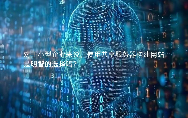 对于小型企业来说，使用共享服务器构建网站是明智的选择吗？