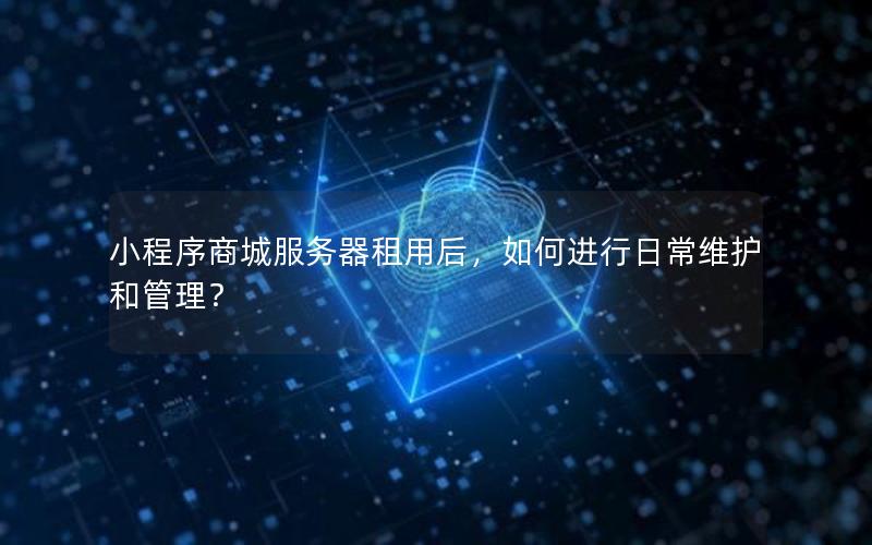 小程序商城服务器租用后，如何进行日常维护和管理？