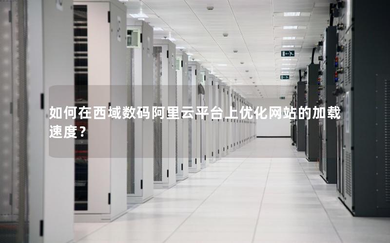 如何在西域数码阿里云平台上优化网站的加载速度？