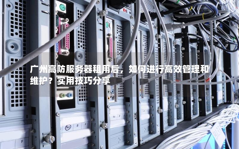 广州高防服务器租用后，如何进行高效管理和维护？实用技巧分享