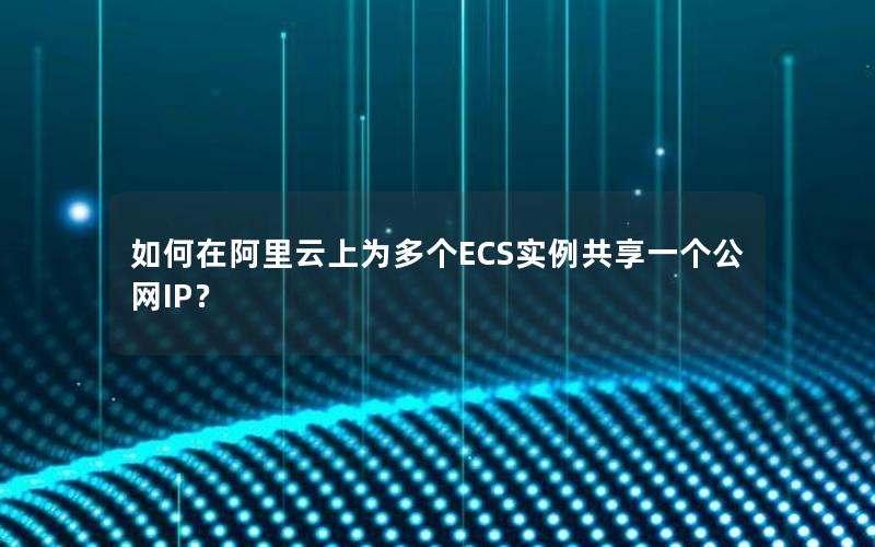如何在阿里云上为多个ECS实例共享一个公网IP？
