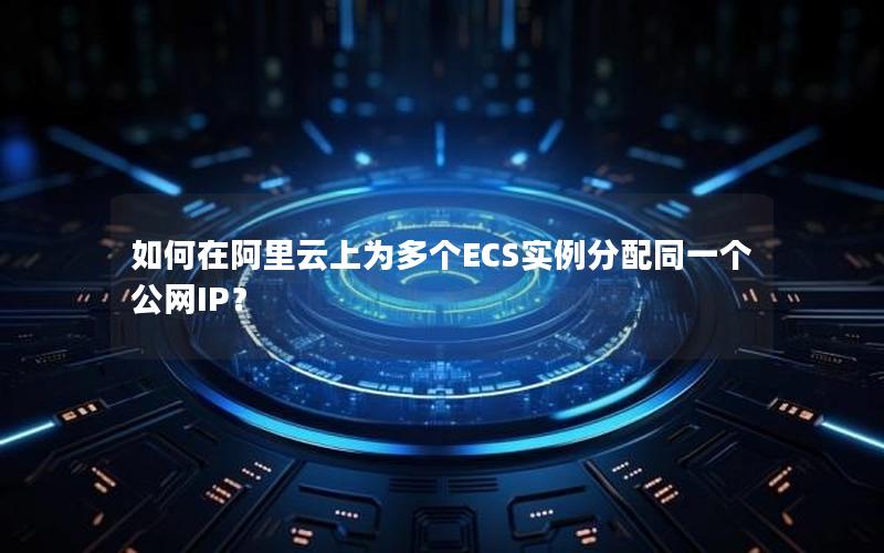 如何在阿里云上为多个ECS实例分配同一个公网IP？