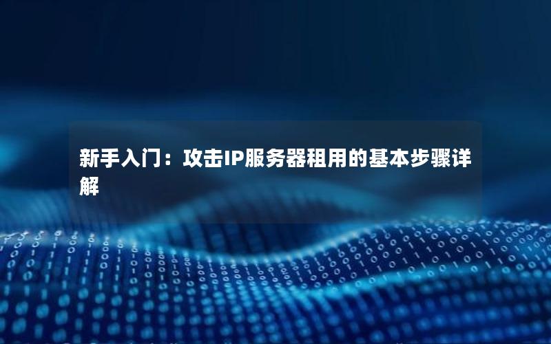 新手入门：攻击IP服务器租用的基本步骤详解