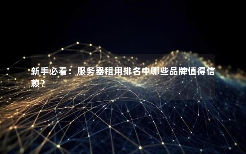 新手必看：服务器租用排名中哪些品牌值得信赖？