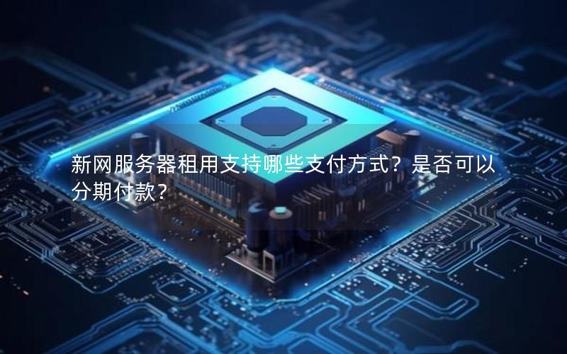 新网服务器租用支持哪些支付方式？是否可以分期付款？