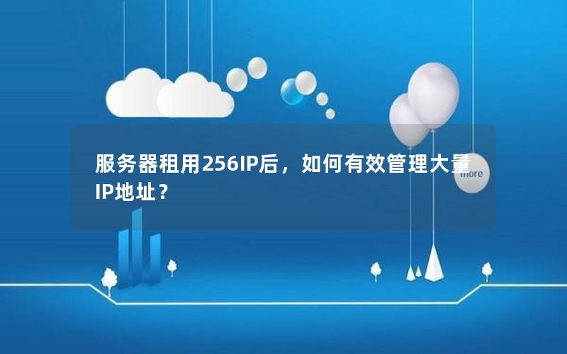 服务器租用256IP后，如何有效管理大量IP地址？