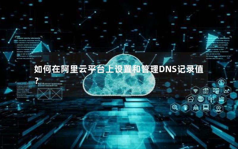 如何在阿里云平台上设置和管理DNS记录值？