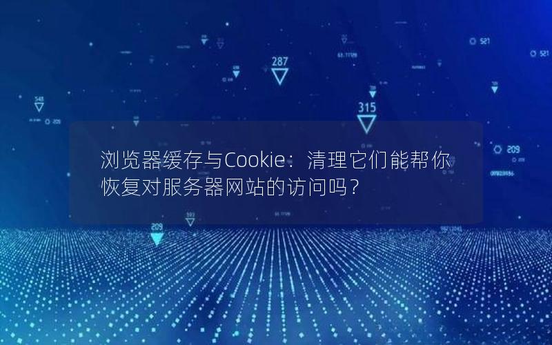 浏览器缓存与Cookie：清理它们能帮你恢复对服务器网站的访问吗？
